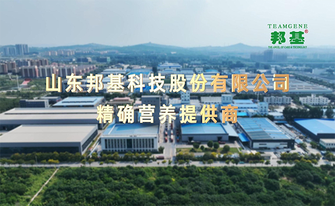 山东乐橙lc8科技股份有限公司官方网站