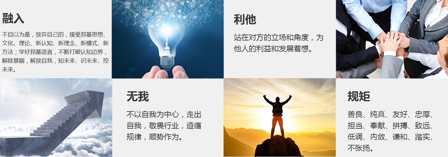 山东乐橙lc8科技股份有限公司官方网站